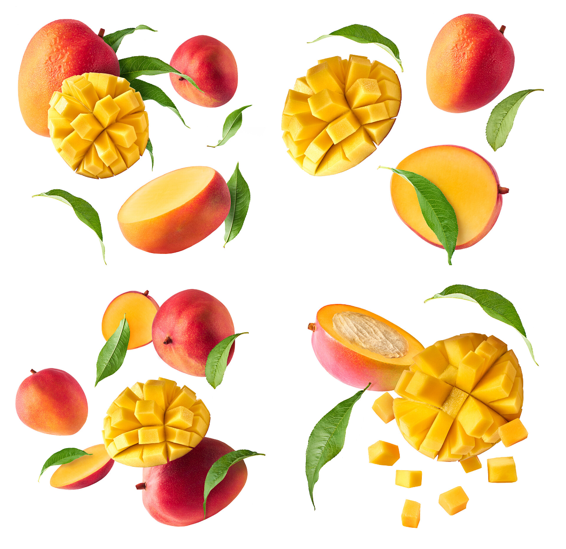 在白色背景上悬浮的新鲜芒果水果