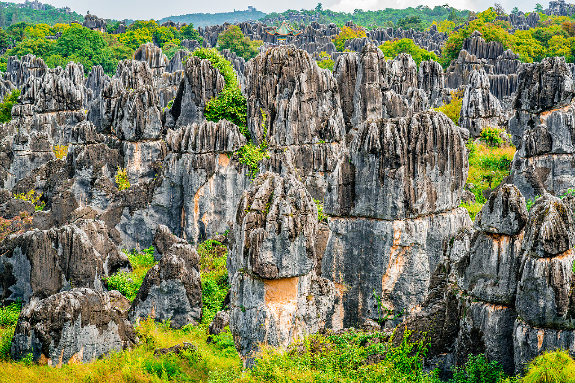 云南昆明市石林的秋色景观
