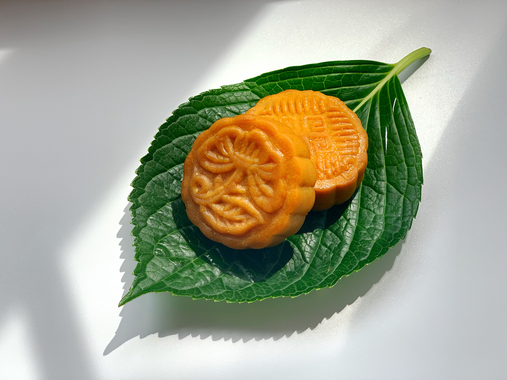 节日热点绿叶上的中国月饼