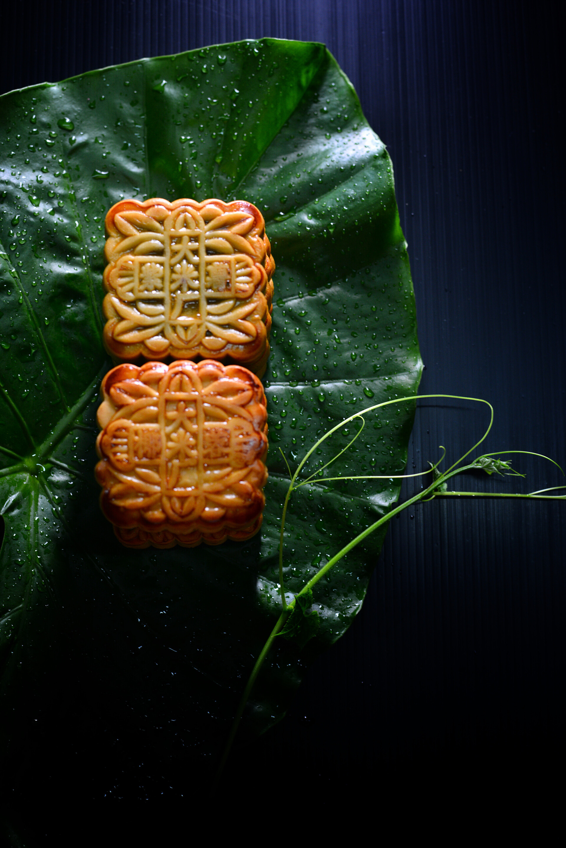 节日热点绿叶上放着中国的月饼