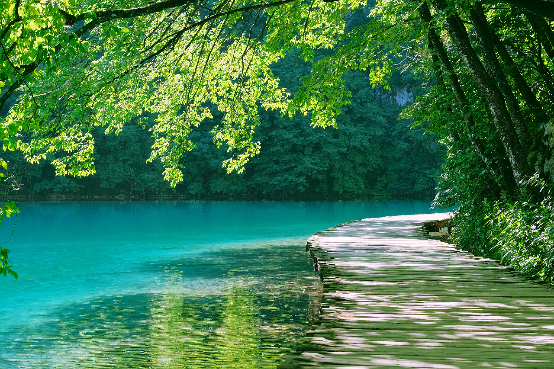 树林中沿着河流的古桥走道