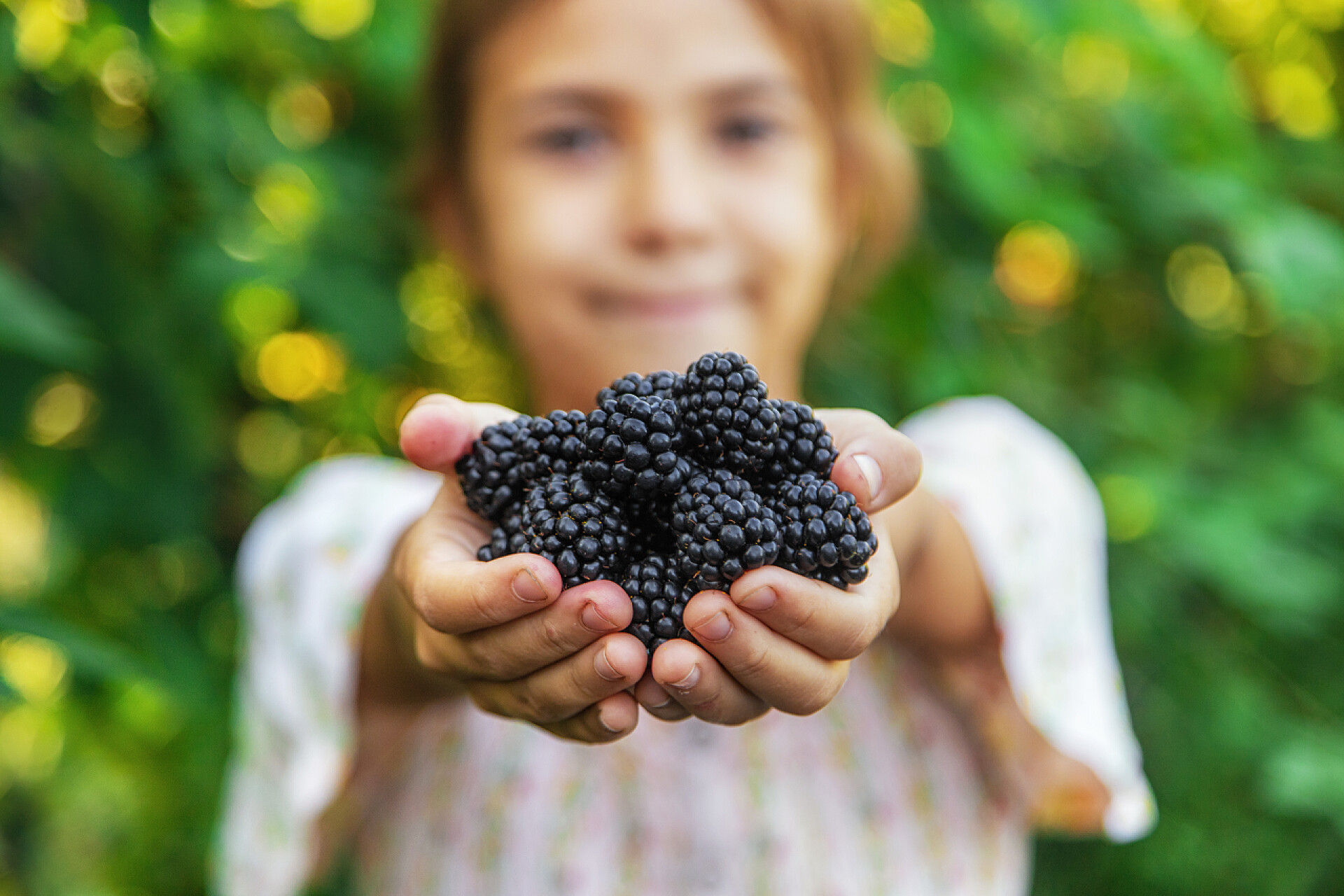那孩子正在花园里采摘水果桑葚