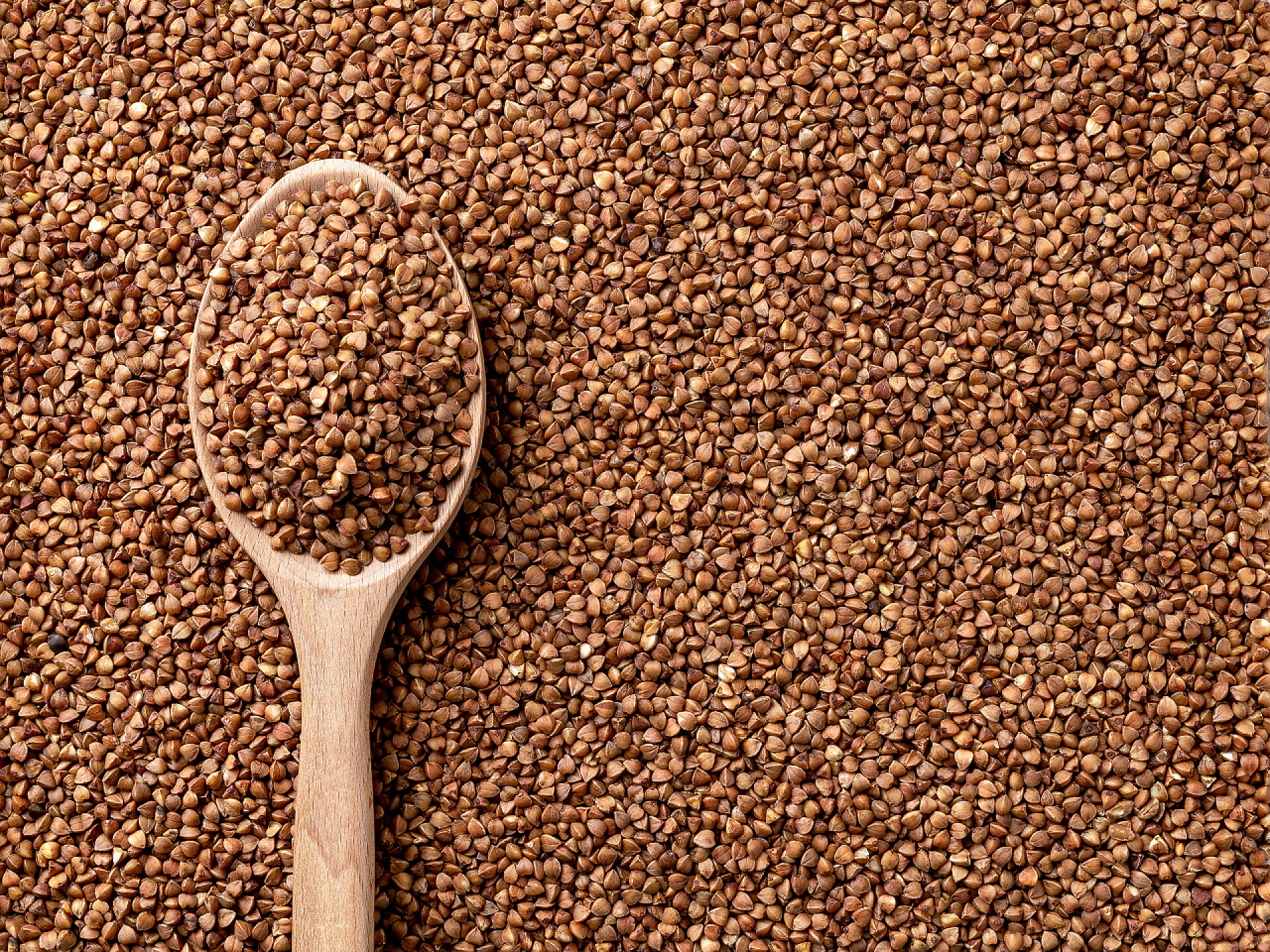 谷物木勺周围满是有机荞麦