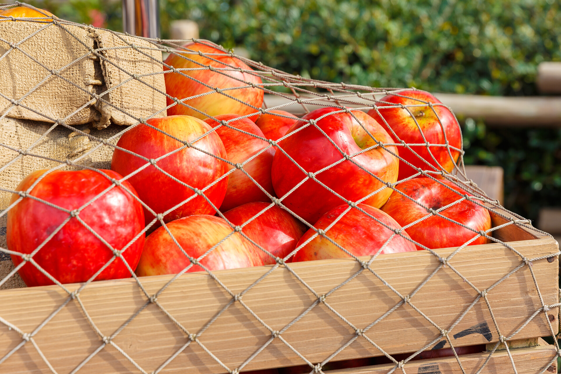 水果板条箱中的苹果