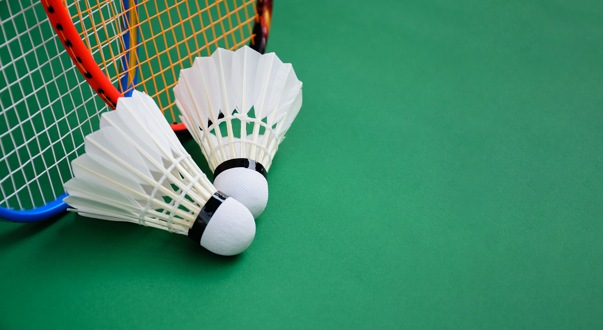 室内羽毛球场绿色地板上的奶油白色羽毛球