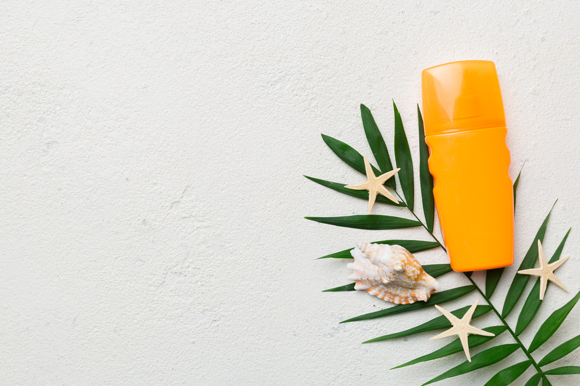白色背景中的绿色植物海洋生物和一瓶防晒霜
