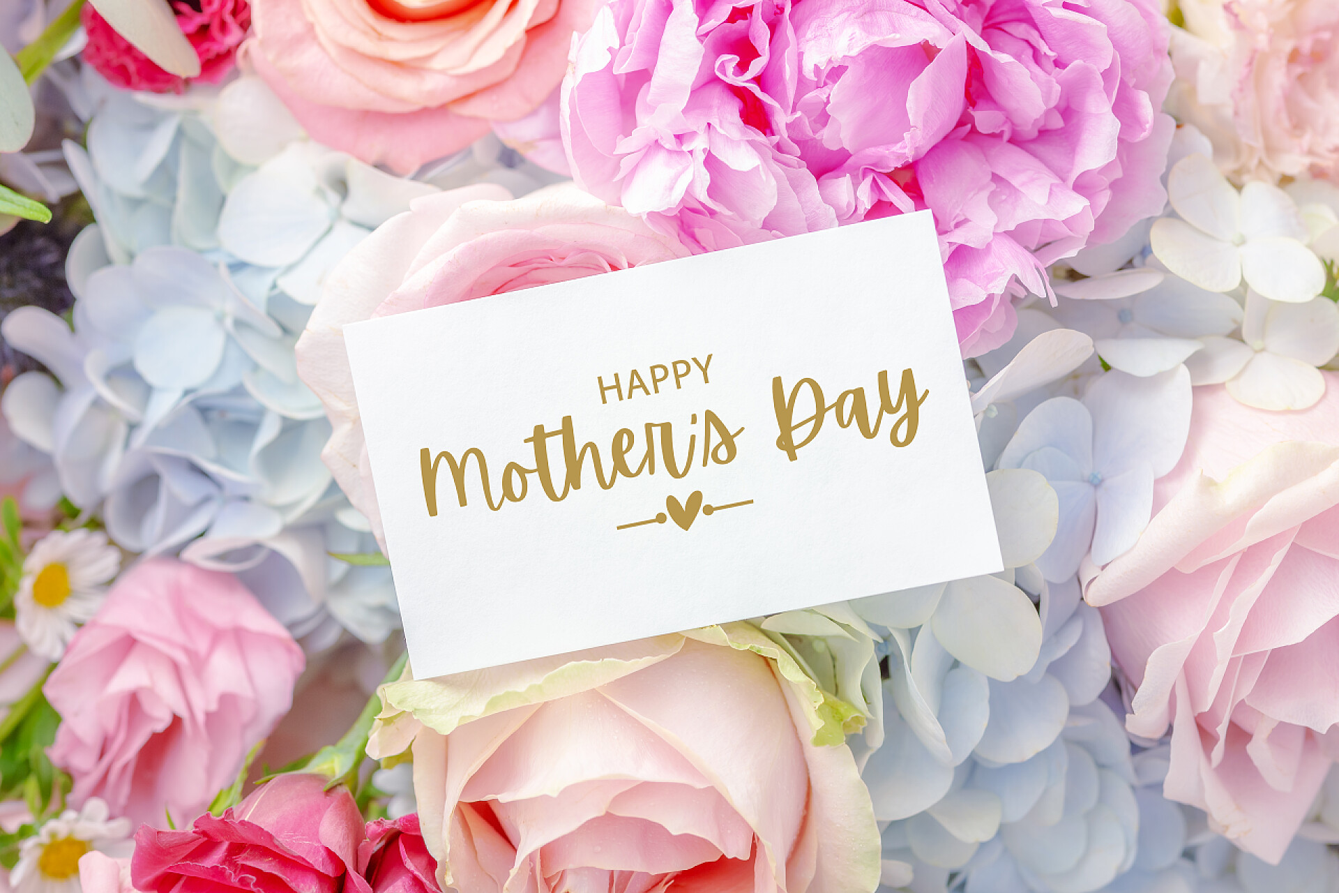 各种各样的鲜花上庆祝母亲节的卡片节日庆祝