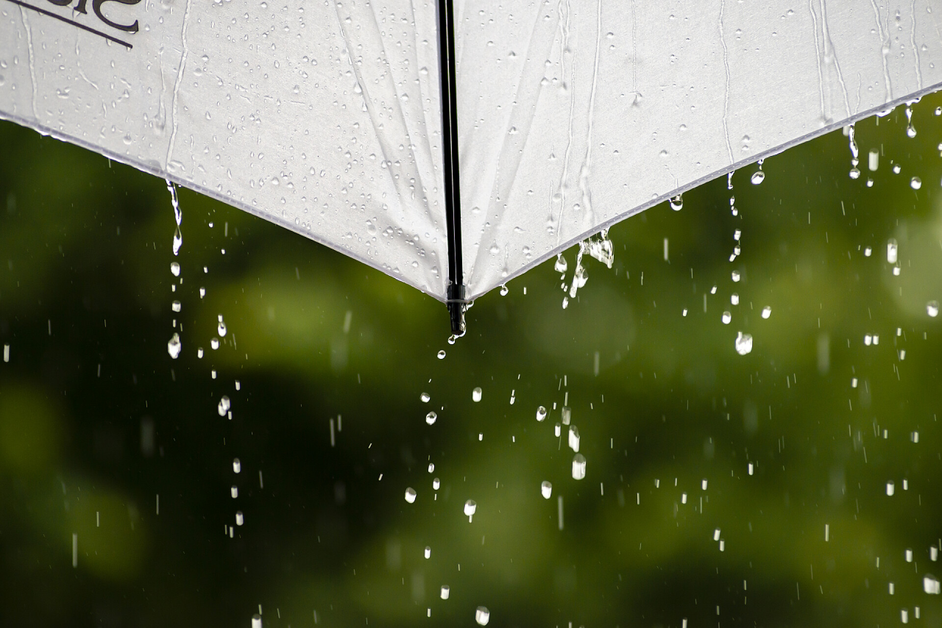 白色雨伞上落下的雨滴特写