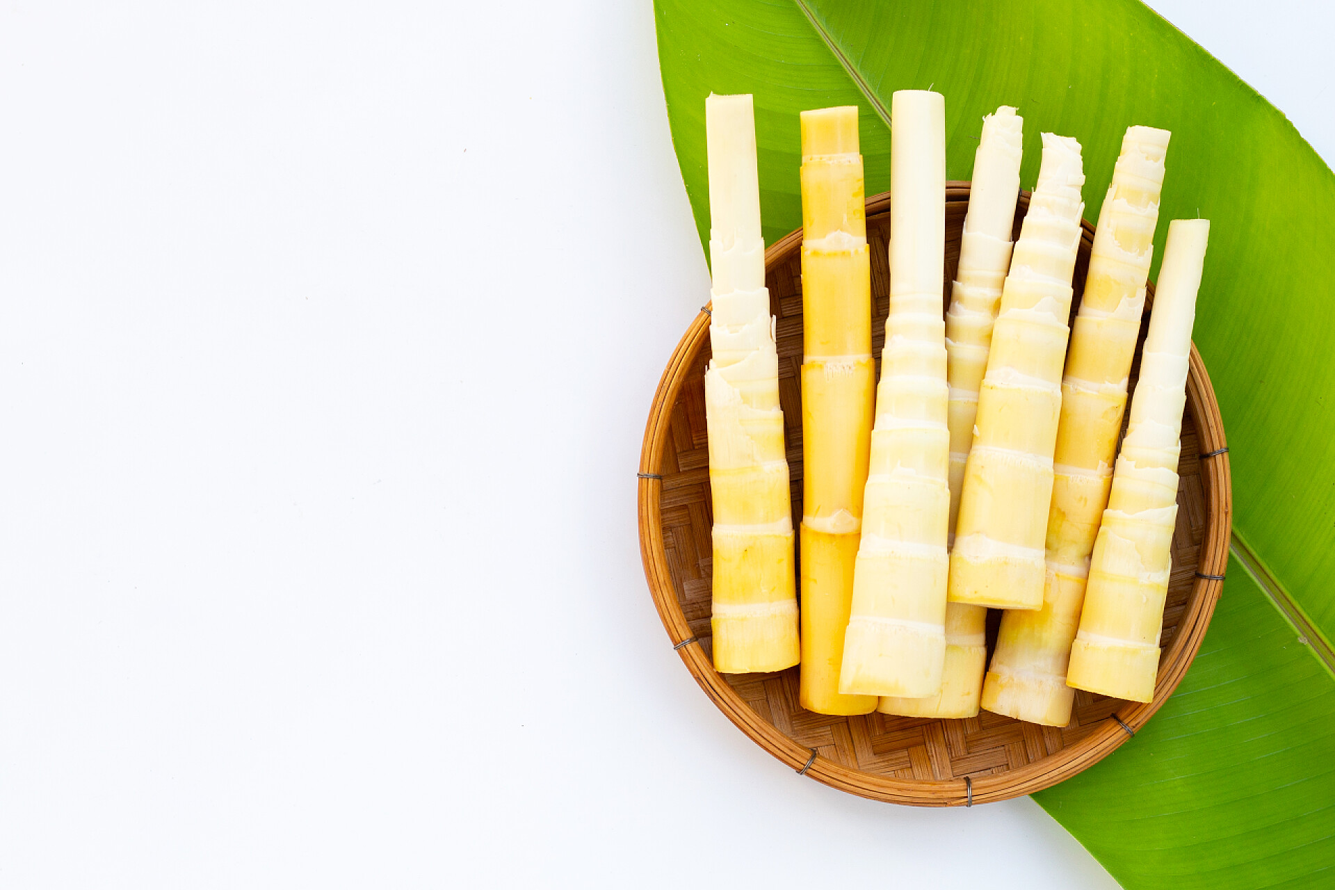 白色背景竹笋食物