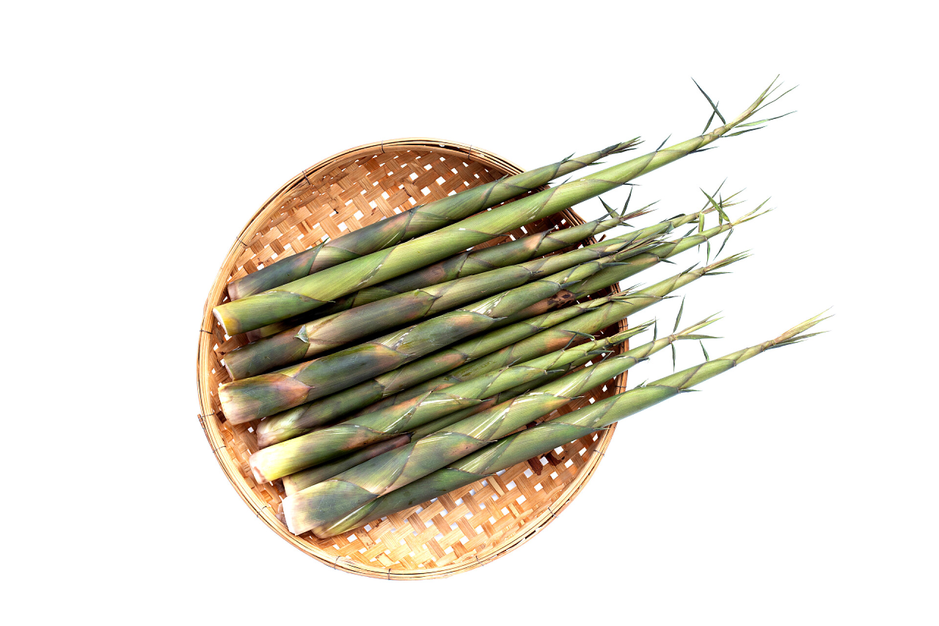 白色背景的新鲜竹笋食物春日美食