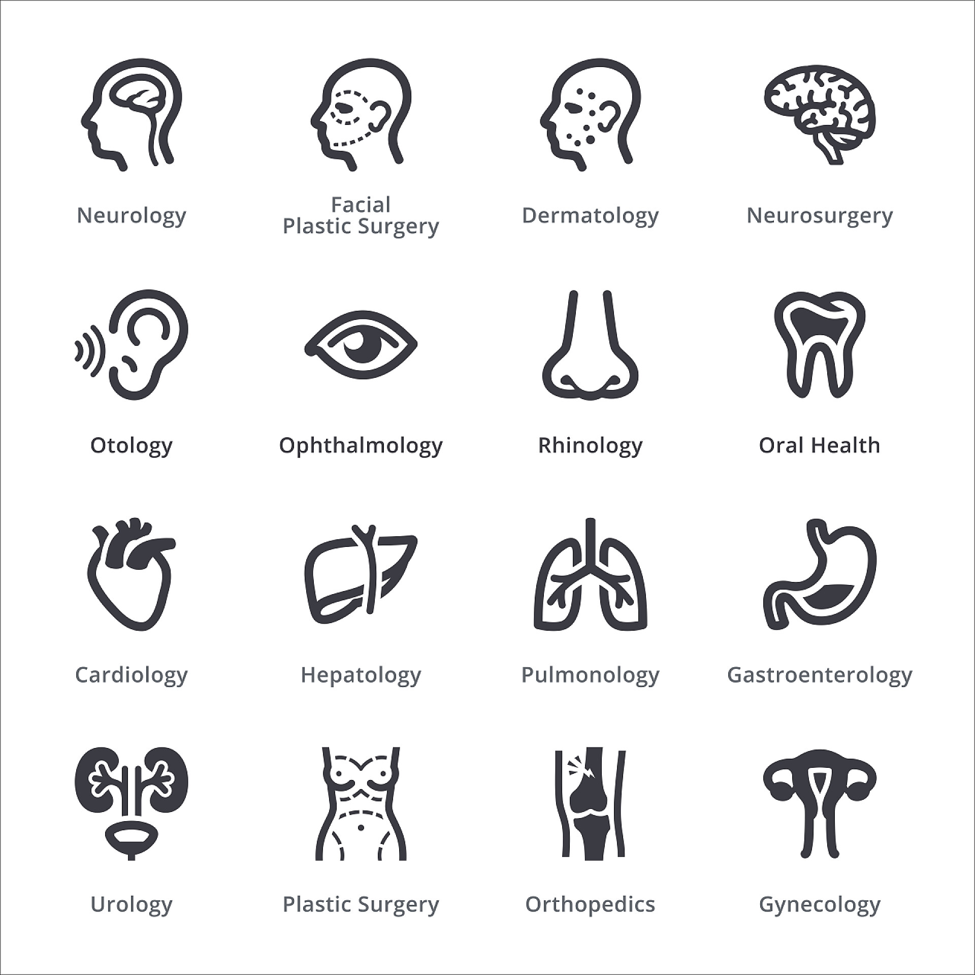 一组白色背景上的医疗健康医学专科图标 体检