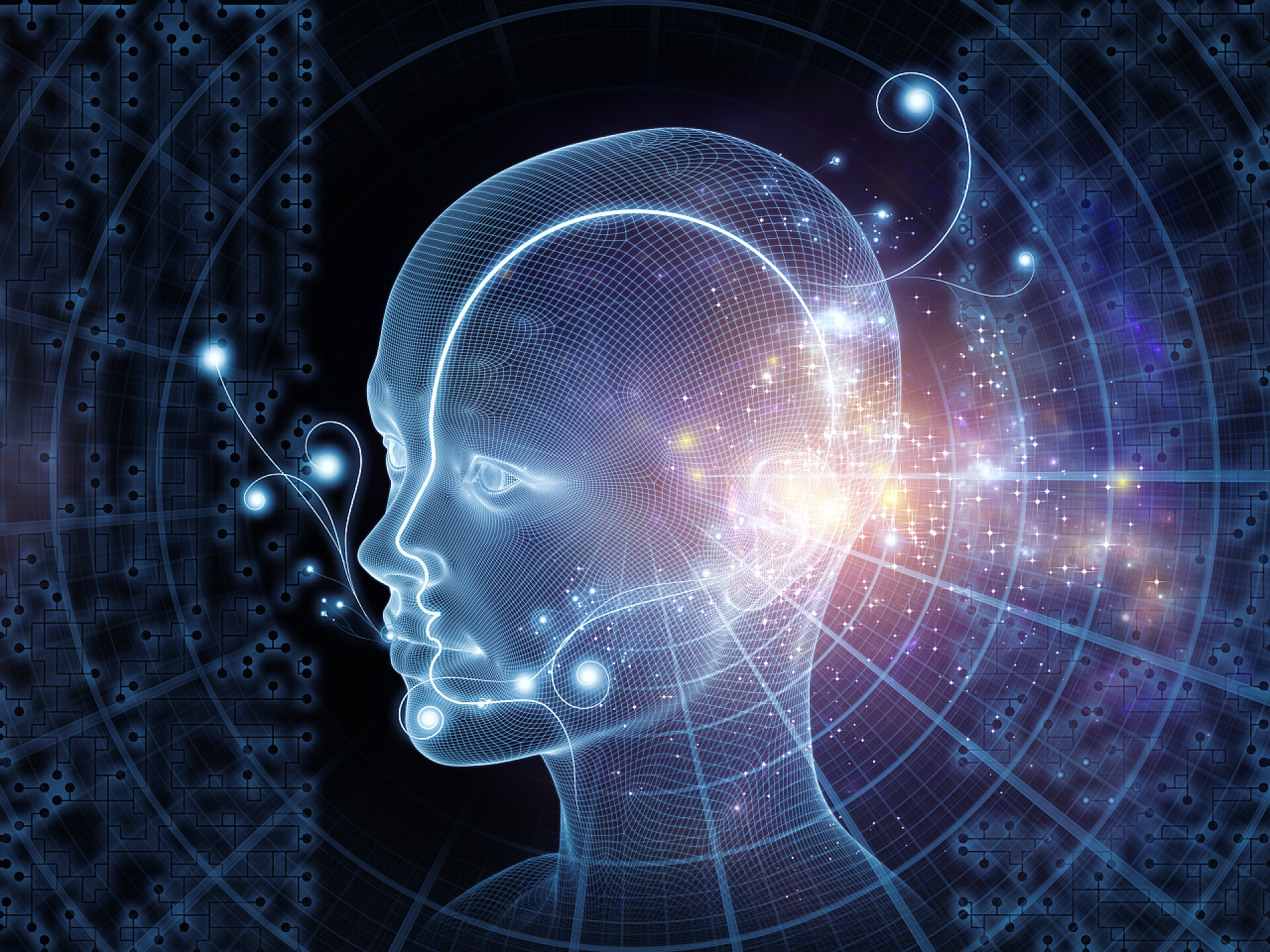 人工智能和技术项目的组成