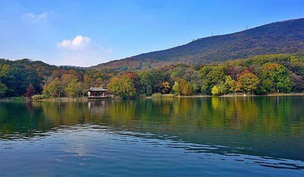 南京城市优美景观拍摄