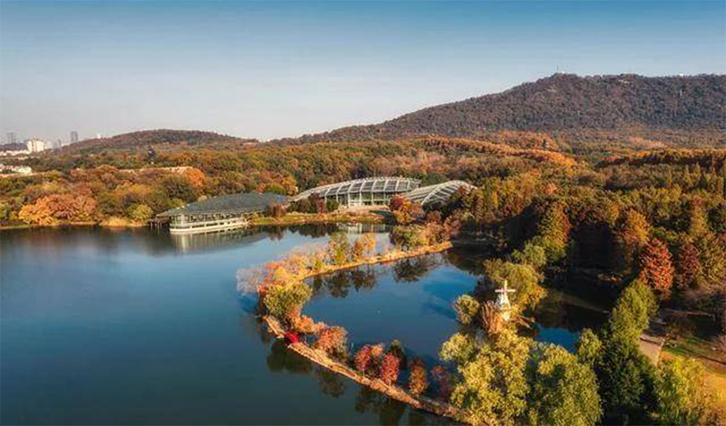 南京城市优美景观拍摄