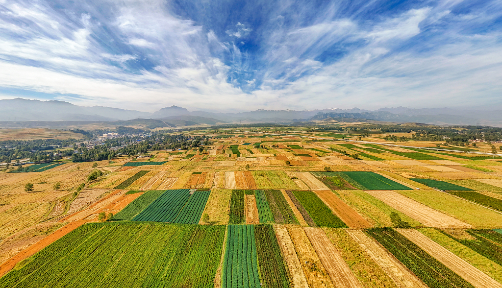 青海湟中县蓝天白云下的彩色方块农田丰收景象