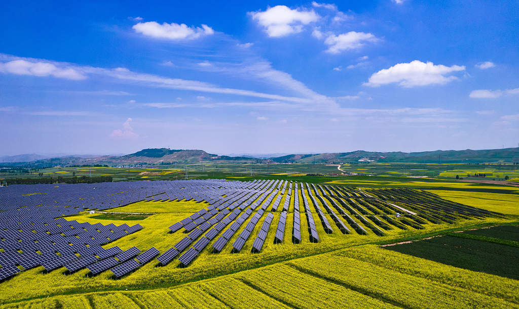 蓝天白云下的青海湟中县油菜花地里的光伏电站
