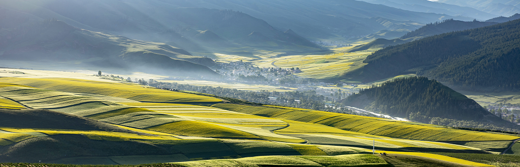 青海祁连卓尔山下云雾绕缭的小山村在油菜花的环绕下的早晨