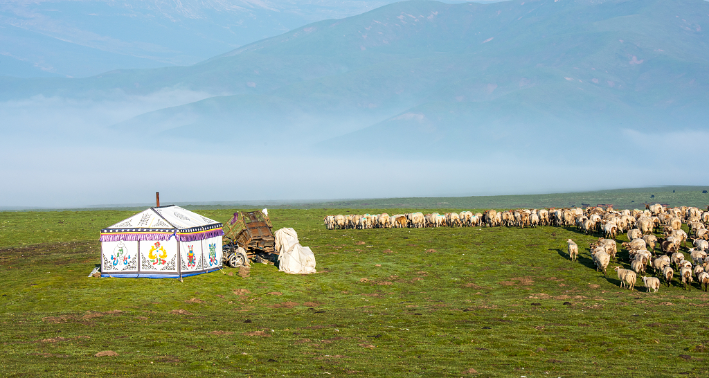 草原上的羊群和牧羊人的帐房