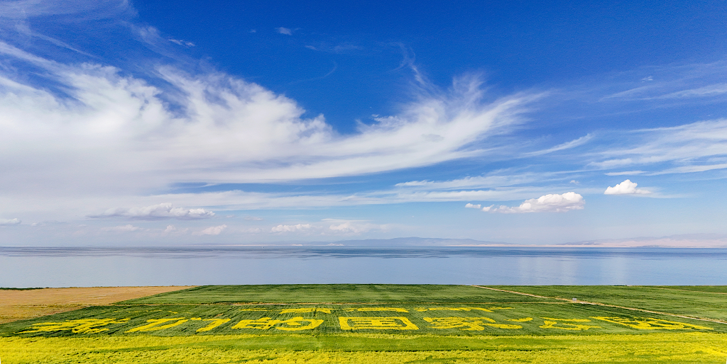 蓝天白云金色油菜花环绕下的青海湖我们的国家公园