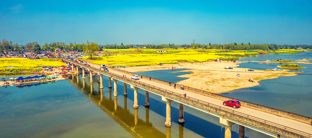 浦江河上通往两河村的大桥两边盛开着油菜花