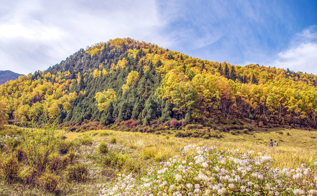 色彩斑斓的青海互助北山森林公园