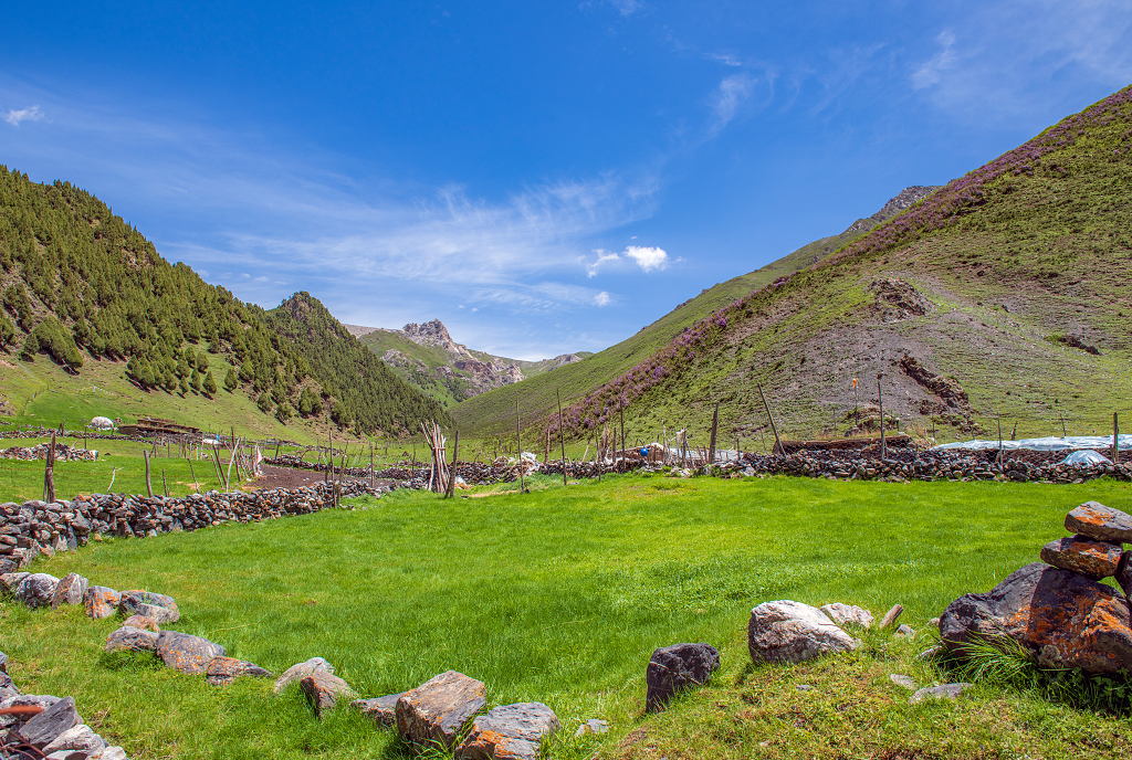 青海互助松多牧民草场