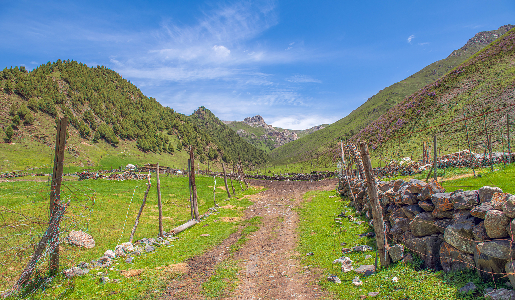 青海互助松多牧场