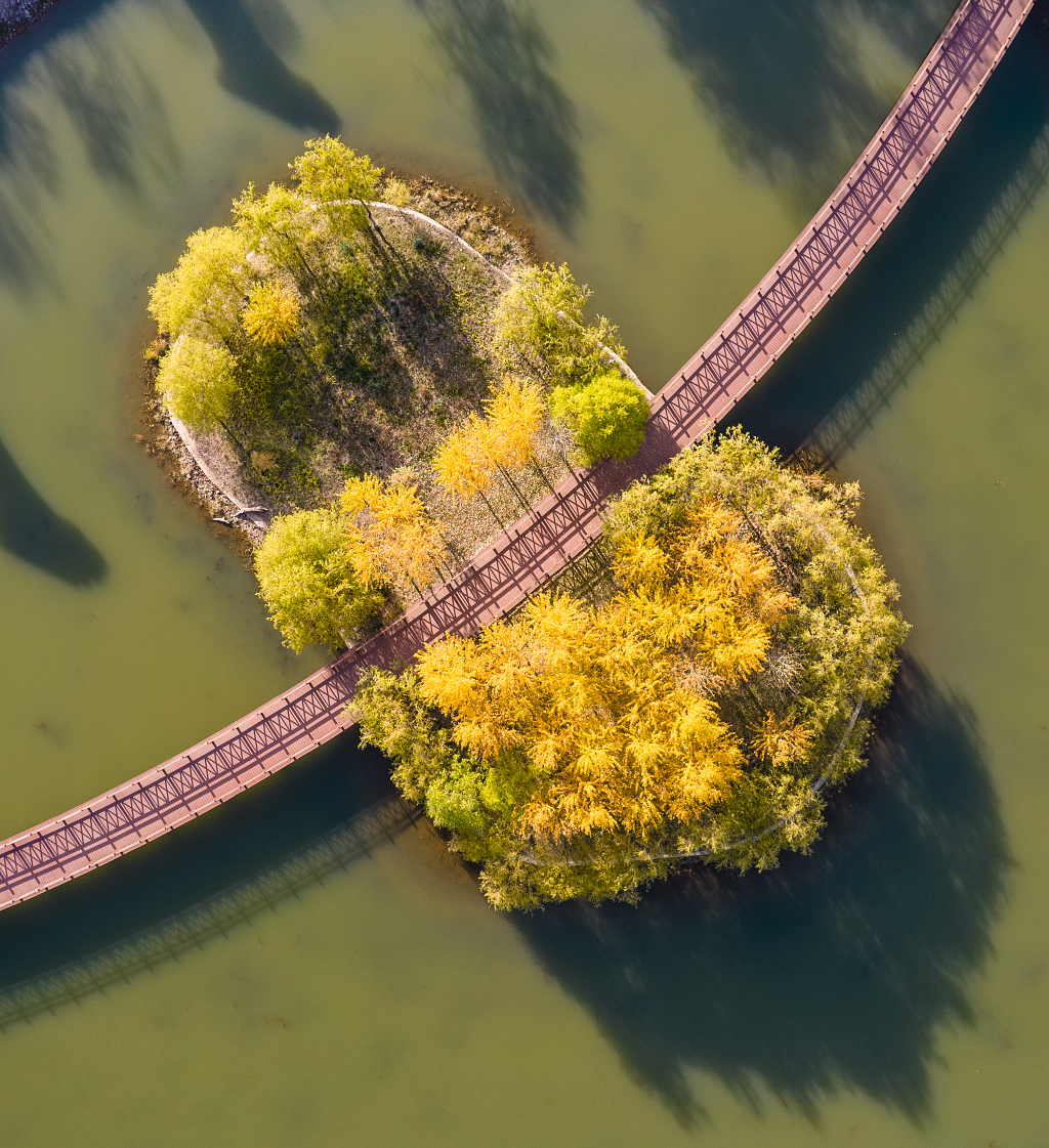 航拍秋色下穿过湖心岛的小桥