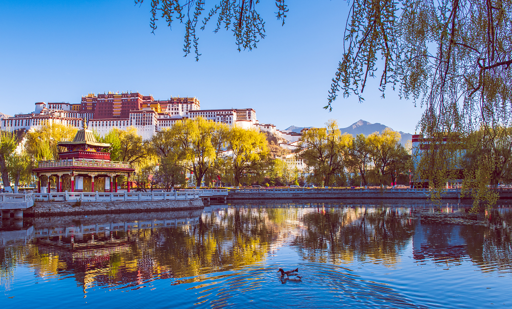 秋日里的布达拉宫在水塘里的倒影