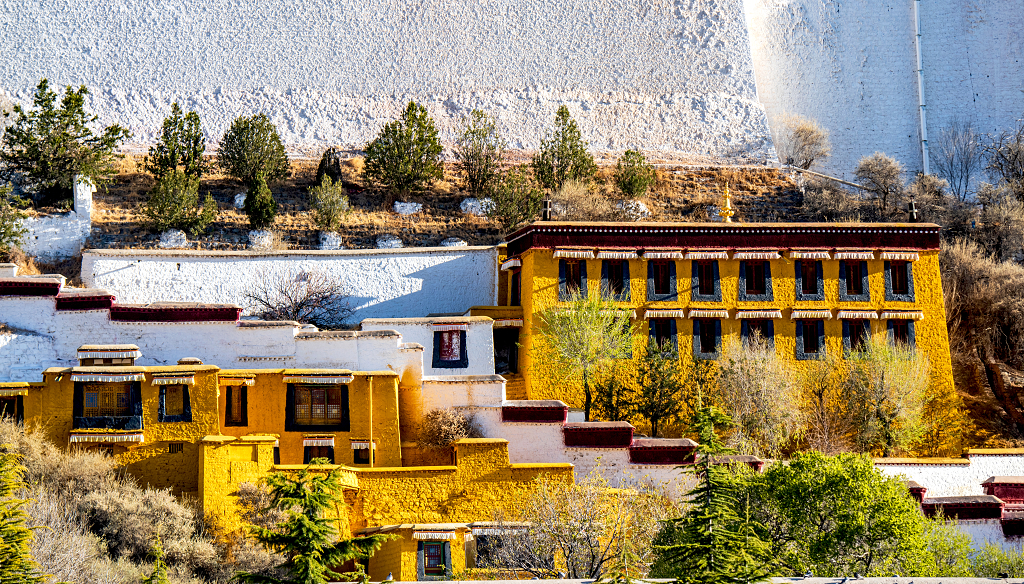 拉萨布达拉宫的黄房子