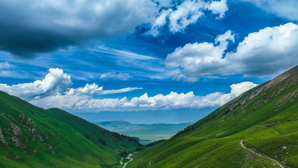 新疆空中草原美景