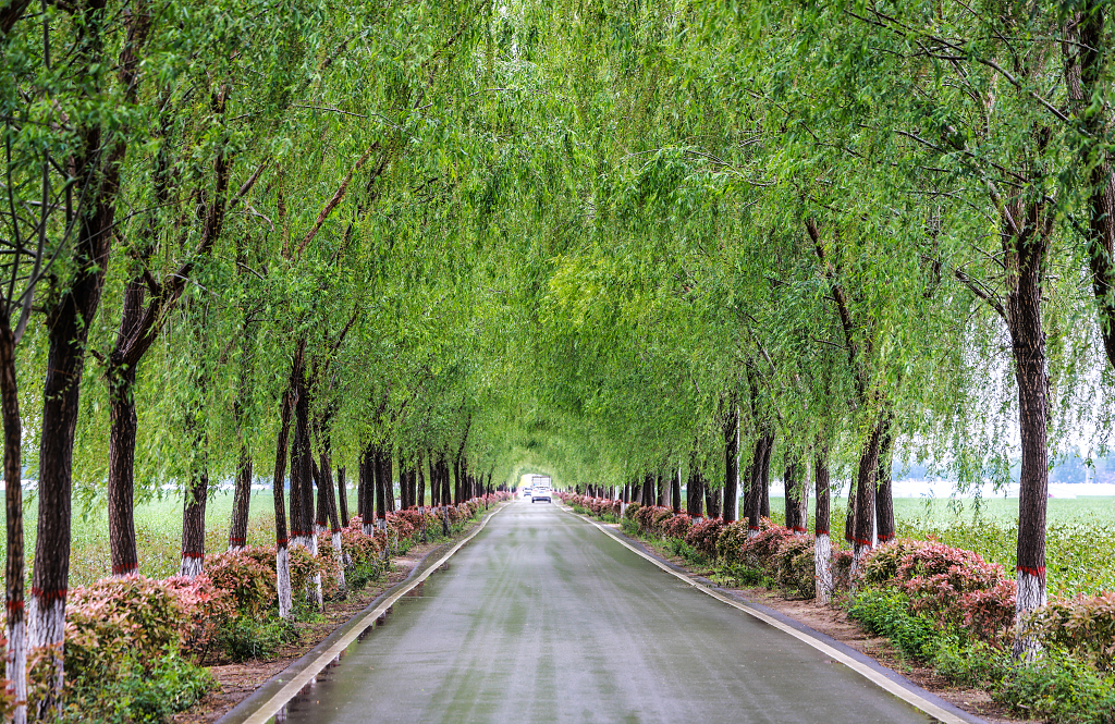 四好农村路美景
