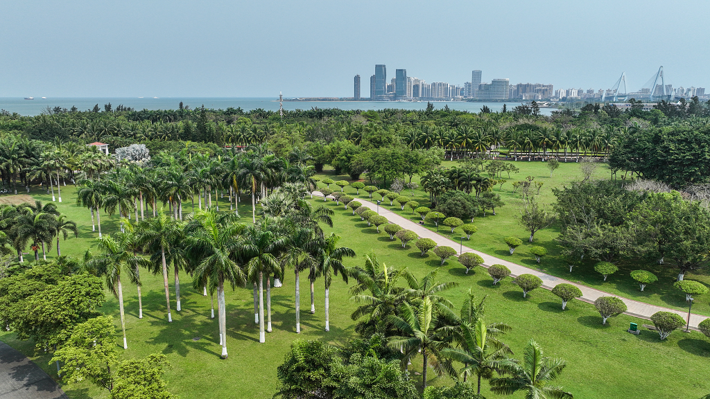 俯瞰万绿园风光