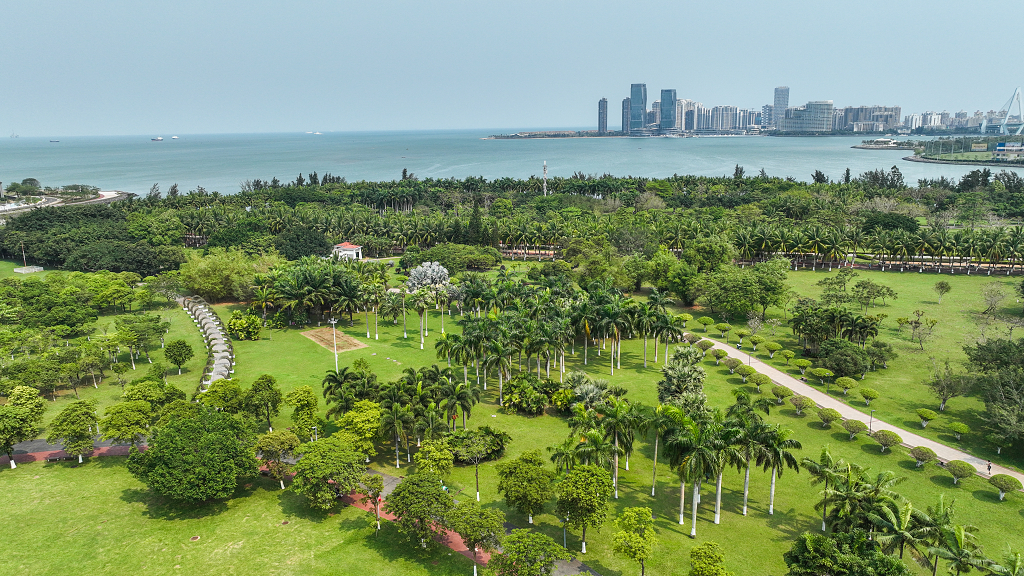 俯瞰万绿园风光