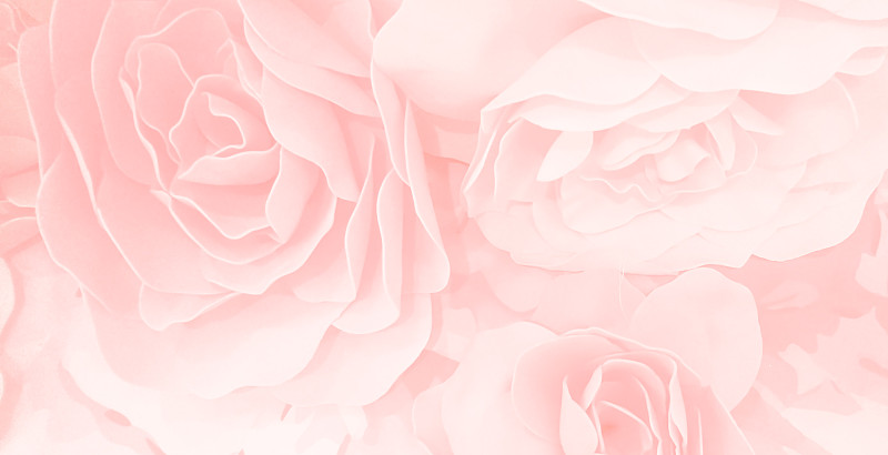 甜美的颜色玫瑰花在模糊风格的图案纹理