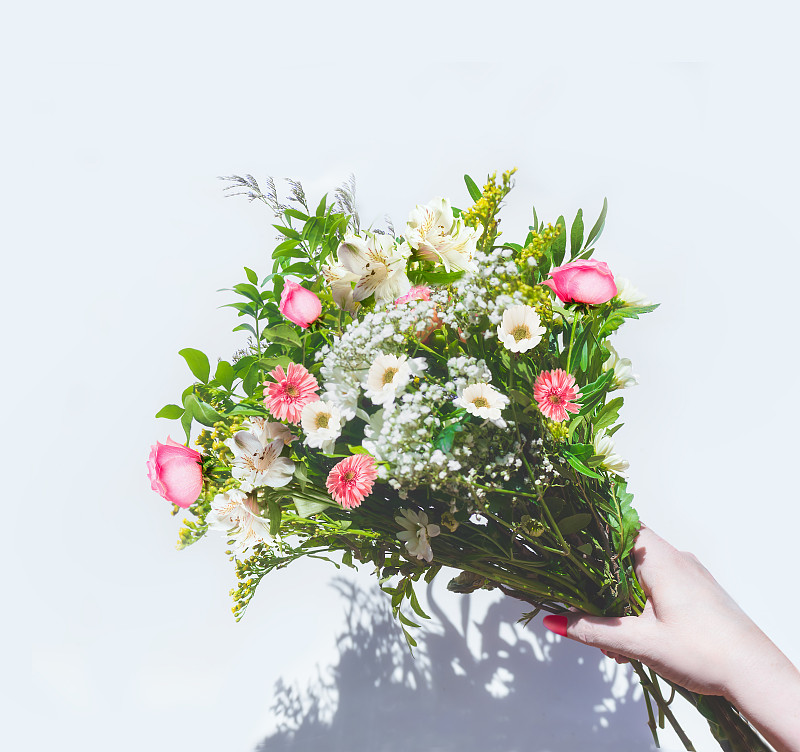 女人手捧夏日鲜花束在阳光明媚的白色背景与阴影