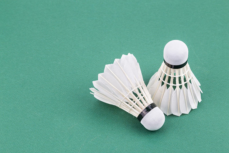 两个新羽毛球在绿色的球场垫子上