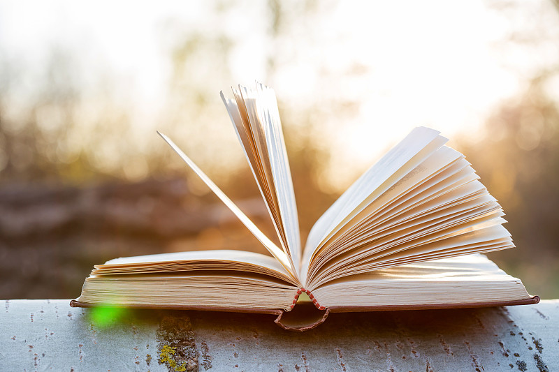 教育与智慧理念——阳光下的开卷
