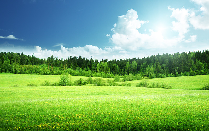 草地和完美的天空