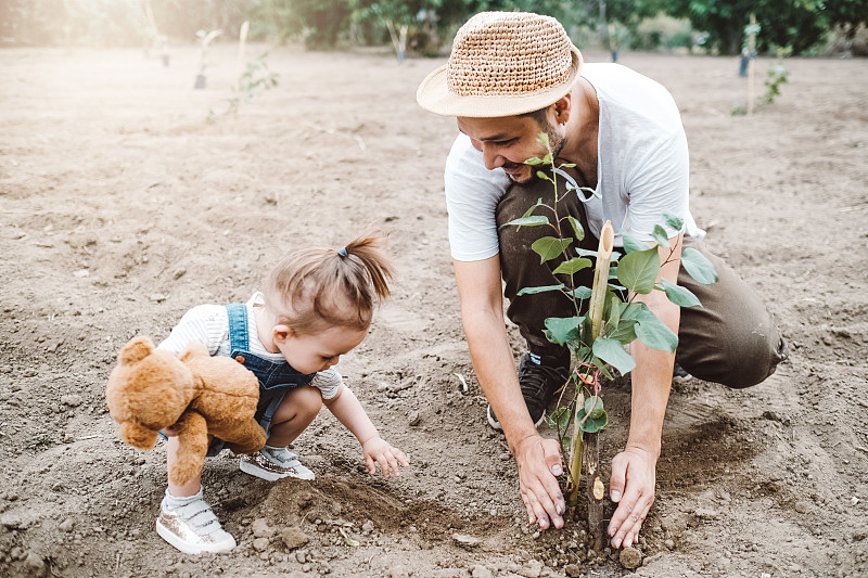 春天，人们在户外植树