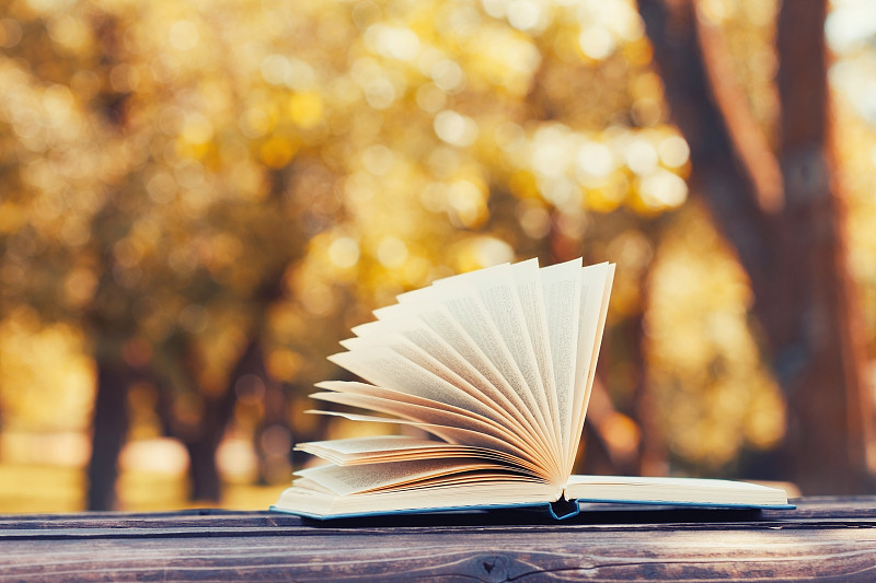 在秋天公园的长椅上看书。阅读,教育理念。