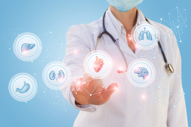 医生从器官中挑选一颗心。