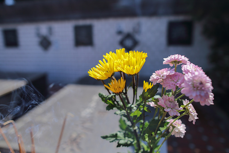 清明节——清明节