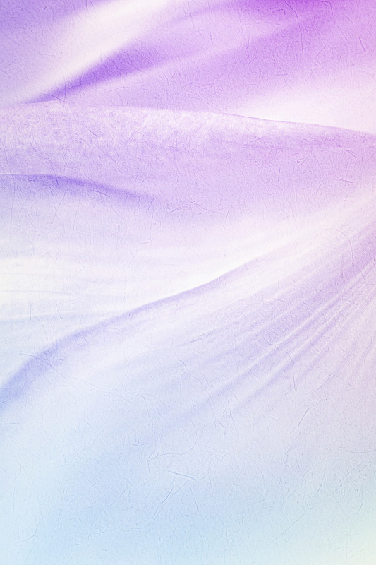 彩色莲花在柔和的颜色和模糊的风格