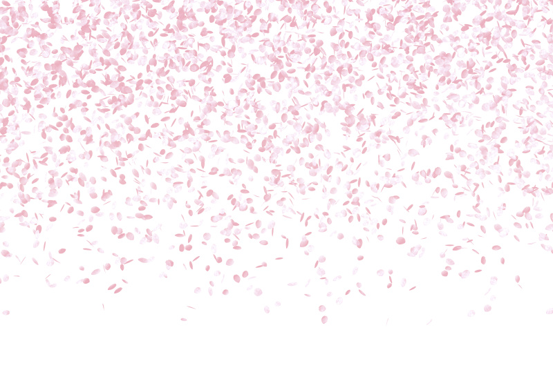 春天粉红花背景