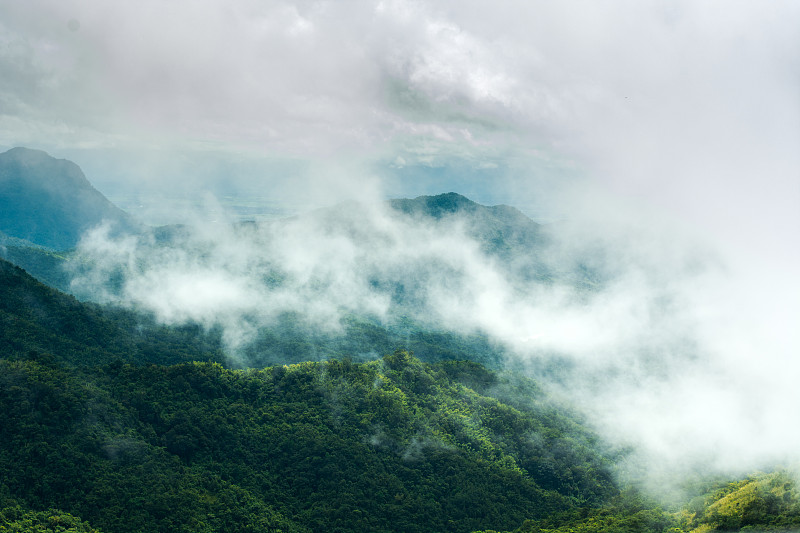 雾和山那牵挂季节的寂寞的人，还是在节日的那天和家人一起去，然后享受冬天。