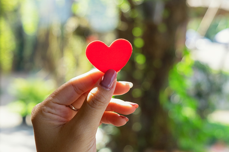 红心在女人的手与绿色自然模糊背景与复制空间。概念的情人节庆祝或夫妇的爱