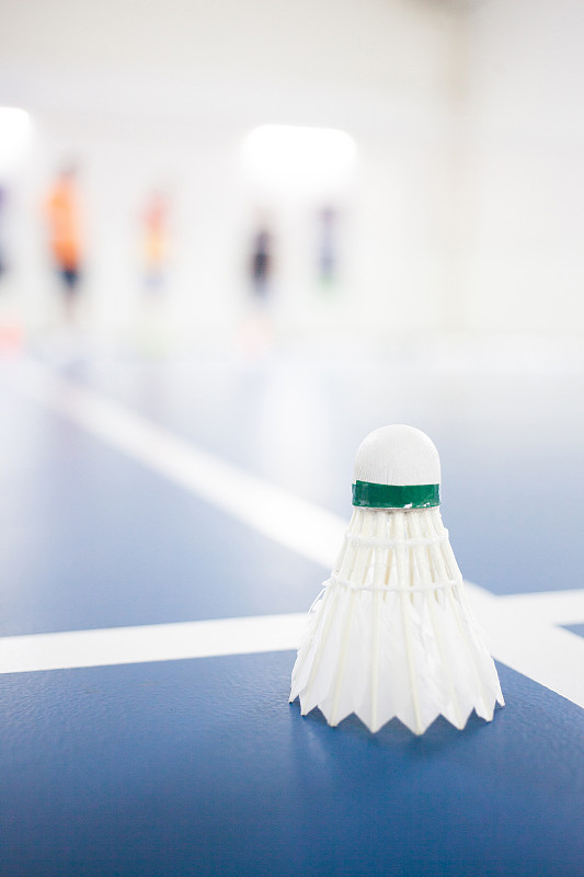 在羽毛球场上打羽毛球