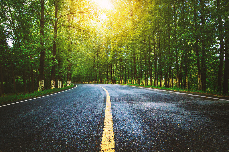 两旁是绿树成荫的乡村道路。