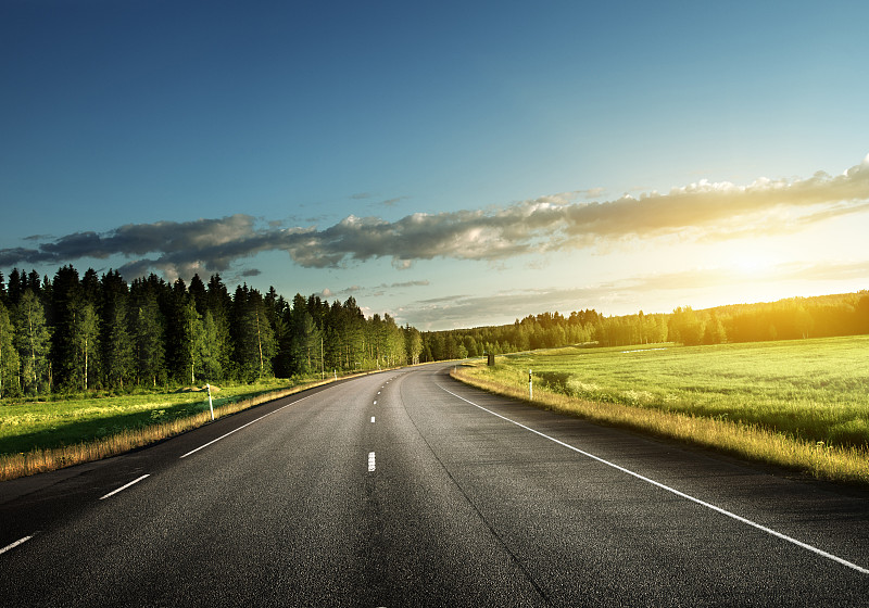 森林中的柏油路